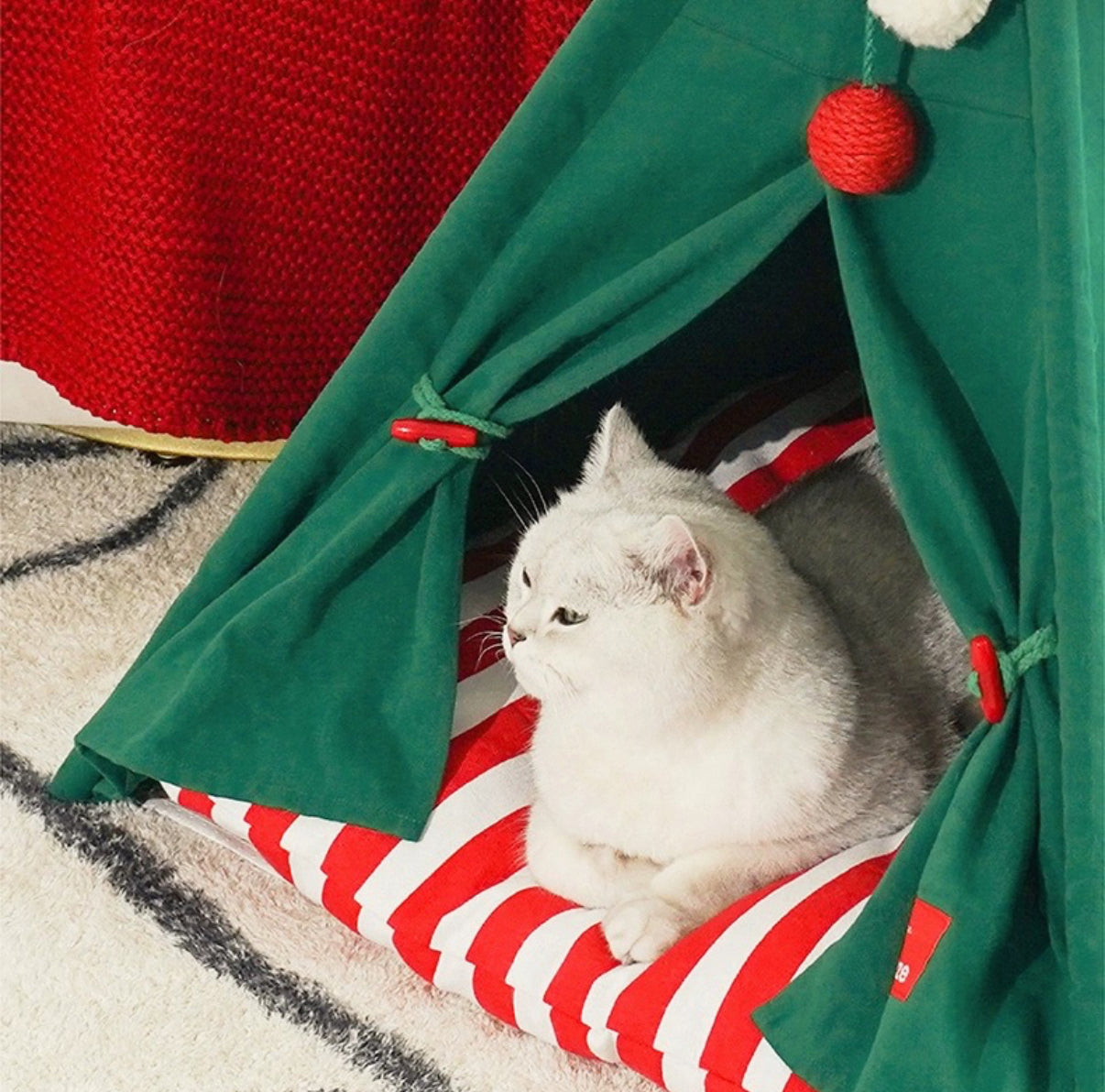 Christmas cat tent