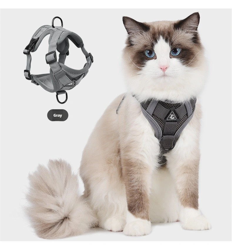 Cat leash harness when going out grey