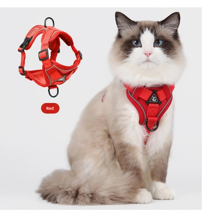 Cat leash harness when going out red