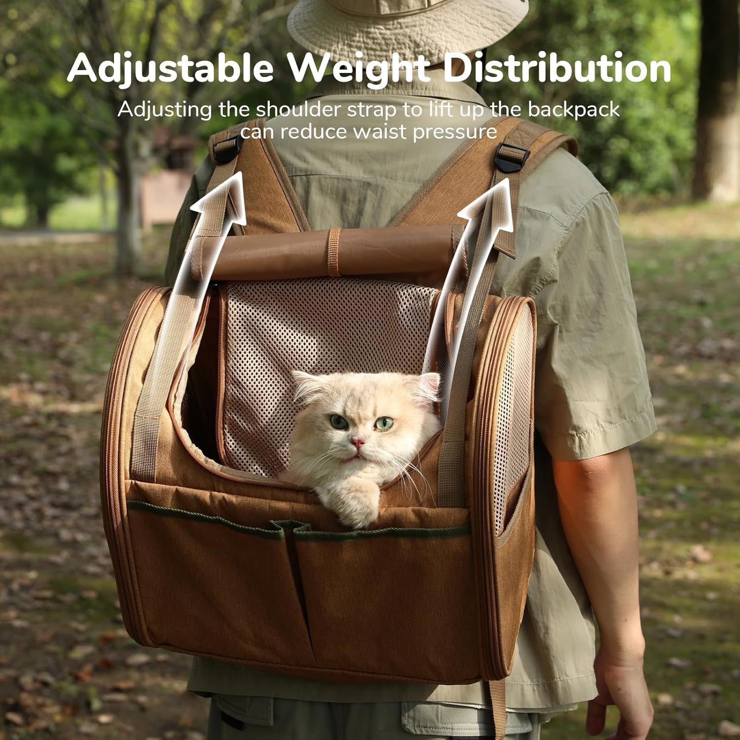 Backpack type expansion cat bag, large space out cat bag