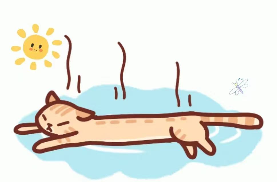 Keeping Your Cat Cool in Summer: Tips Every Pet Parent Should Know