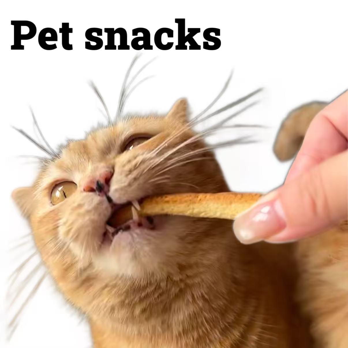 Pet snacks