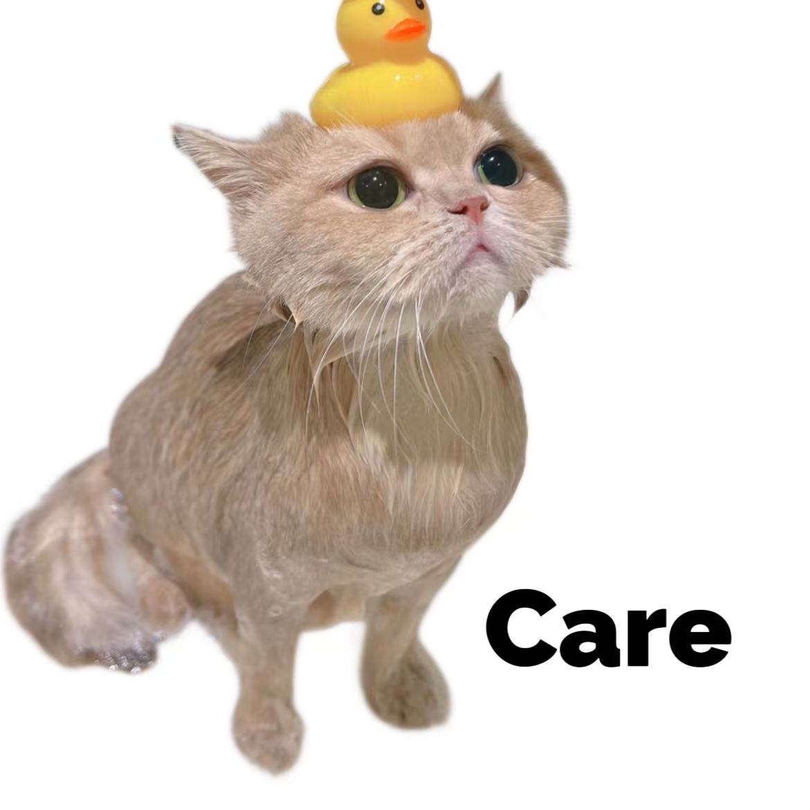 Pet Care