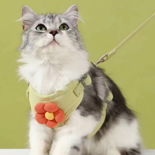 Cat Harness and Leash for Walking,