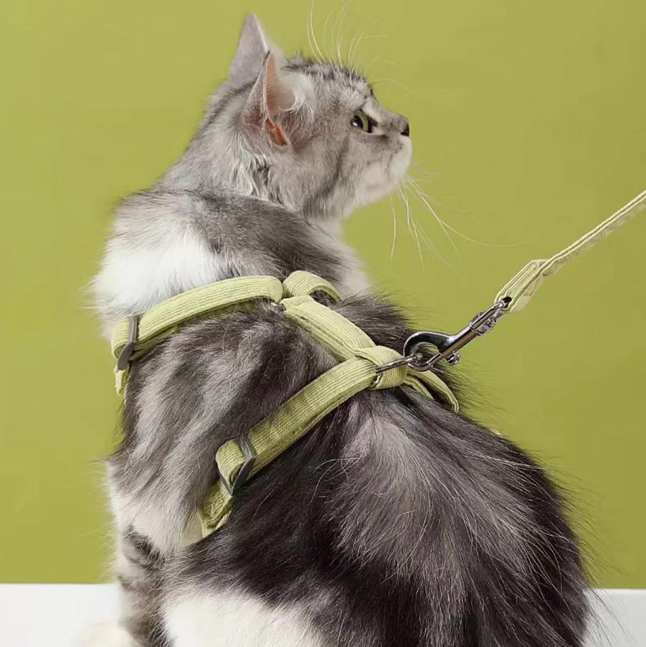 Cat Harness and Leash for Walking,