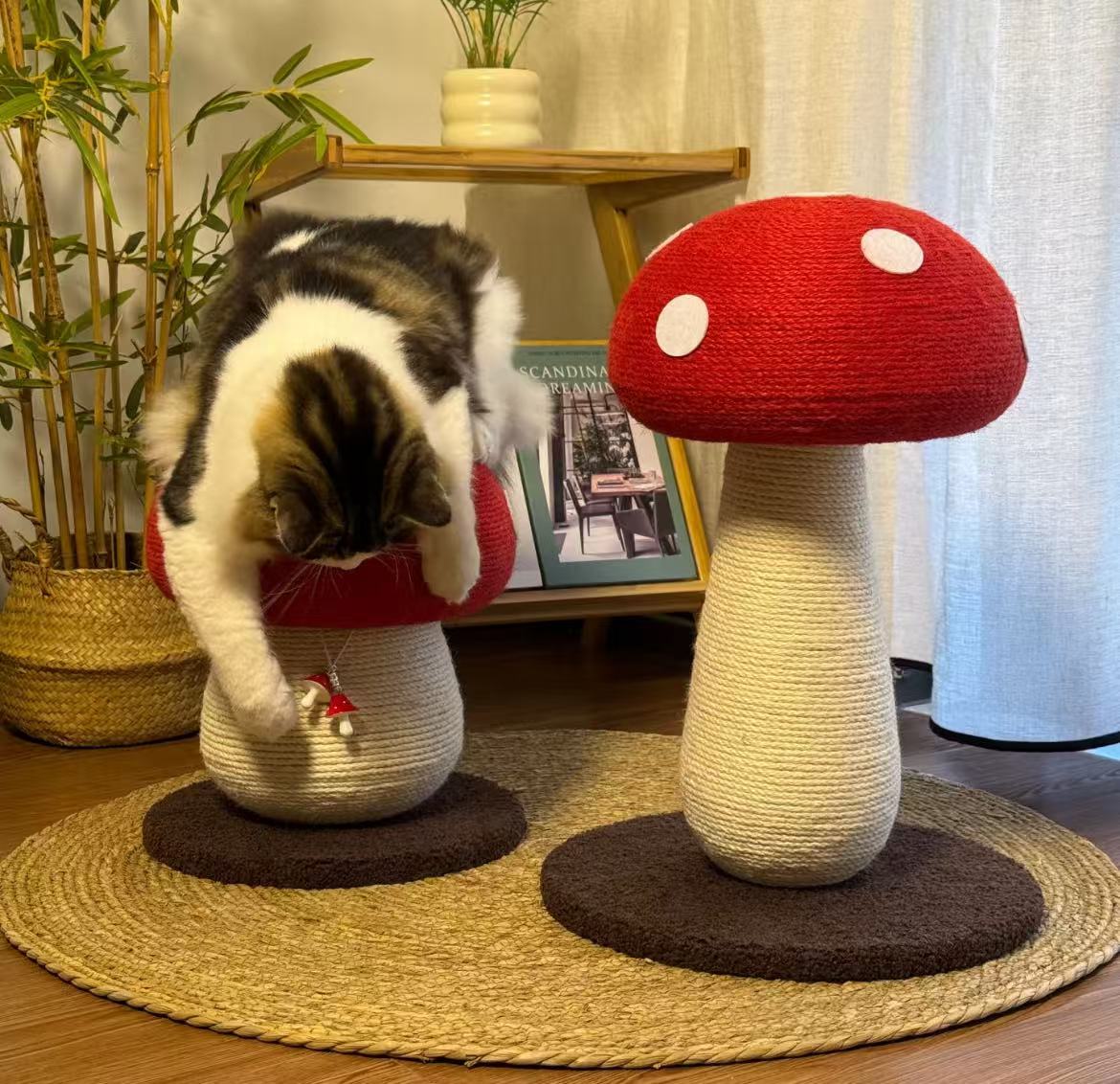 Mushroom-Shaped Cat Scratching Post – Durable, Dust-Resistant, and Made from Natural Bug-Free Materials