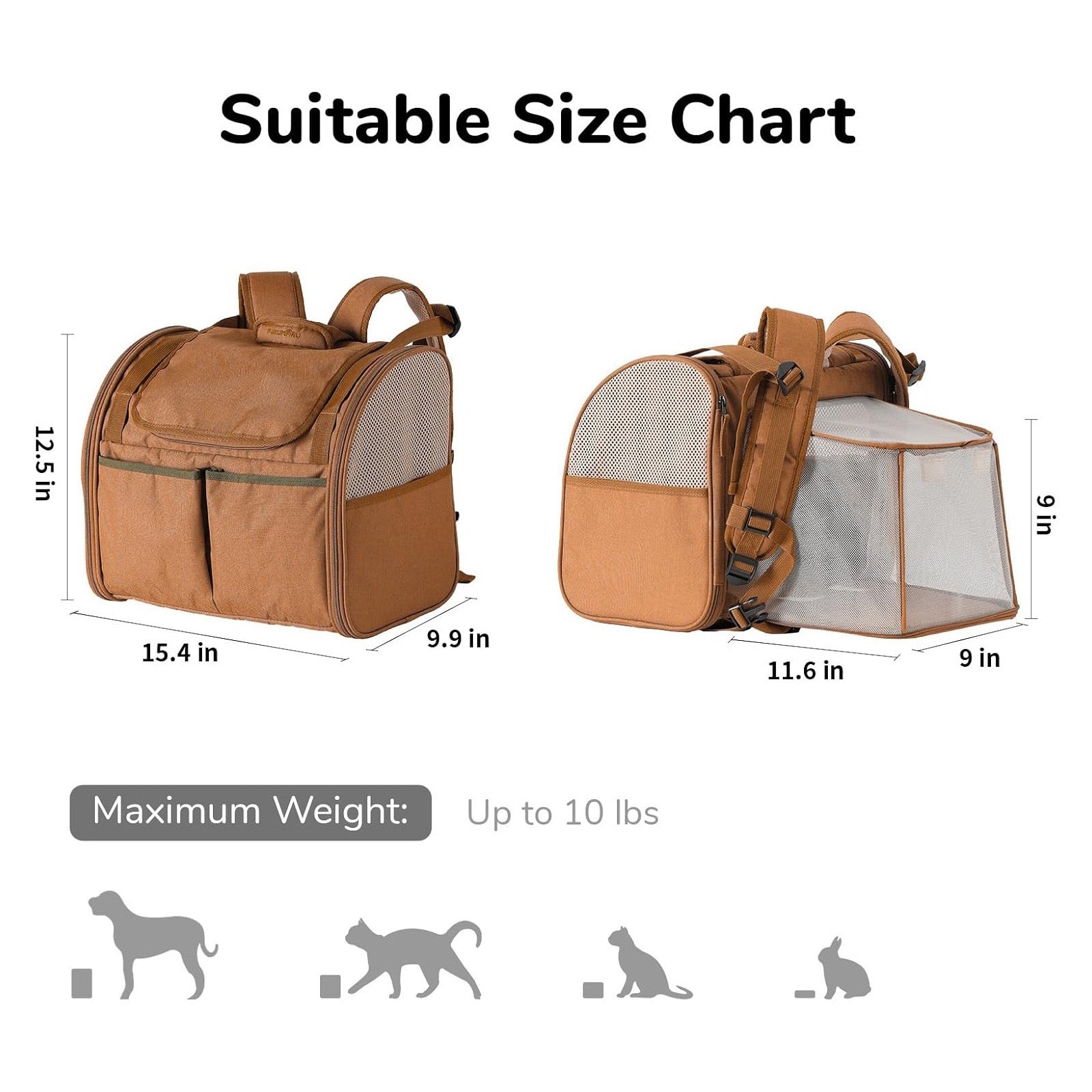 A cat bag on both shoulders size