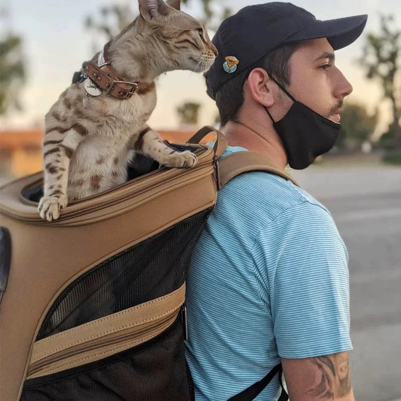 Cat bag, travel backpack,brown large cat for going out，