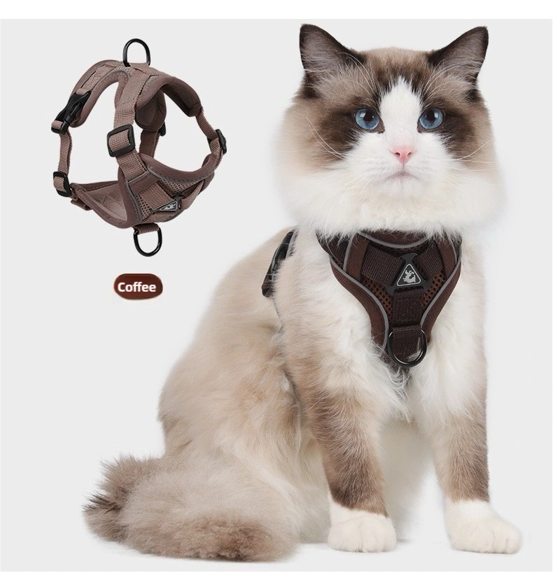 Cat leash harness when going out coffee