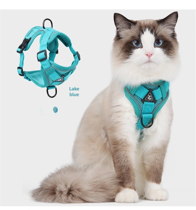 Cat leash harness when going out lake blue