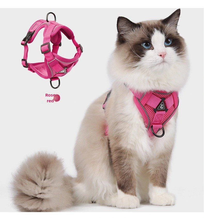 Cat leash harness when going out rose red