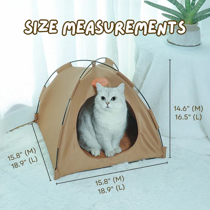 CAT Tant
