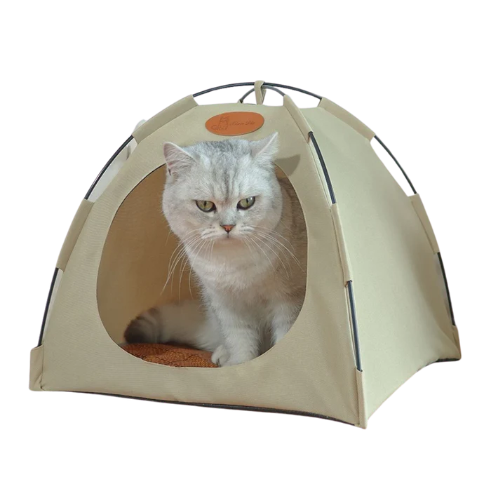 CAT Tant